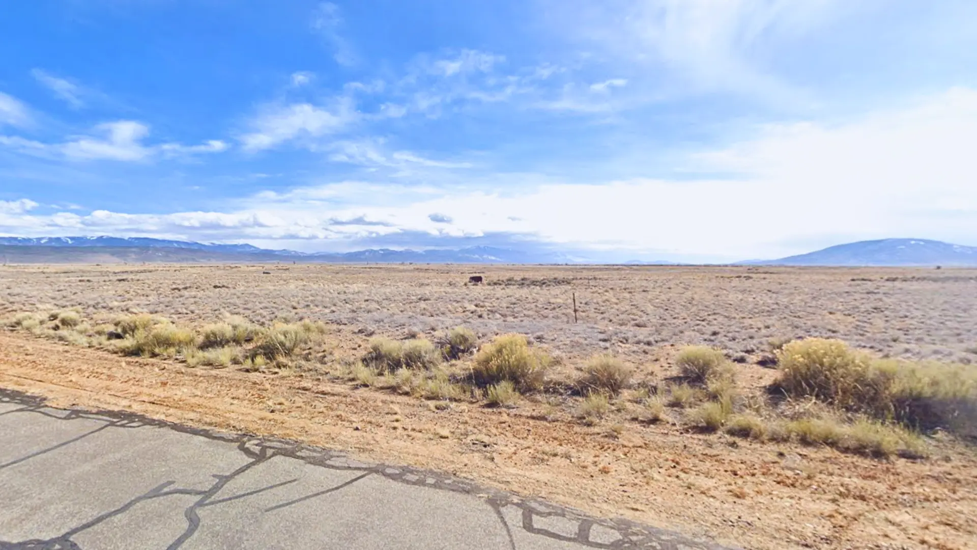 NH - COSTILLA - 71547980 (1).webp