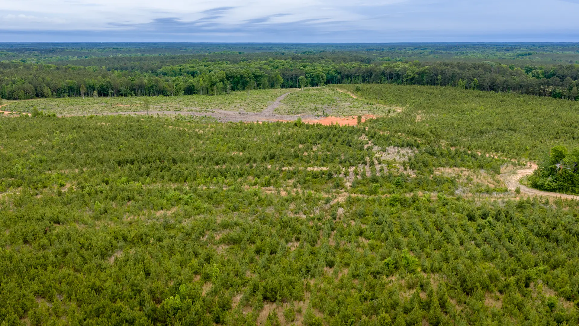 Greenwood_Land_38.jpg.webp