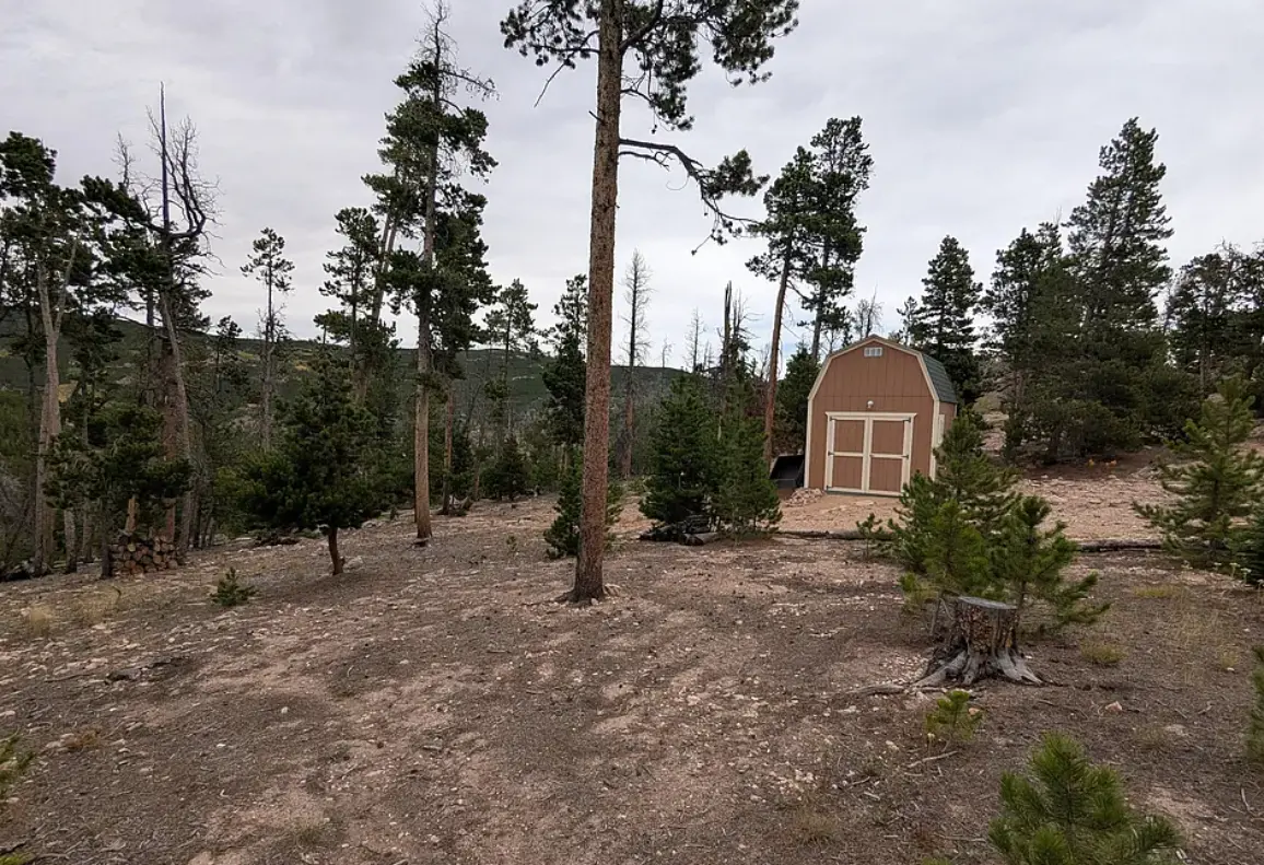 looking at the lot with barn.png.webp