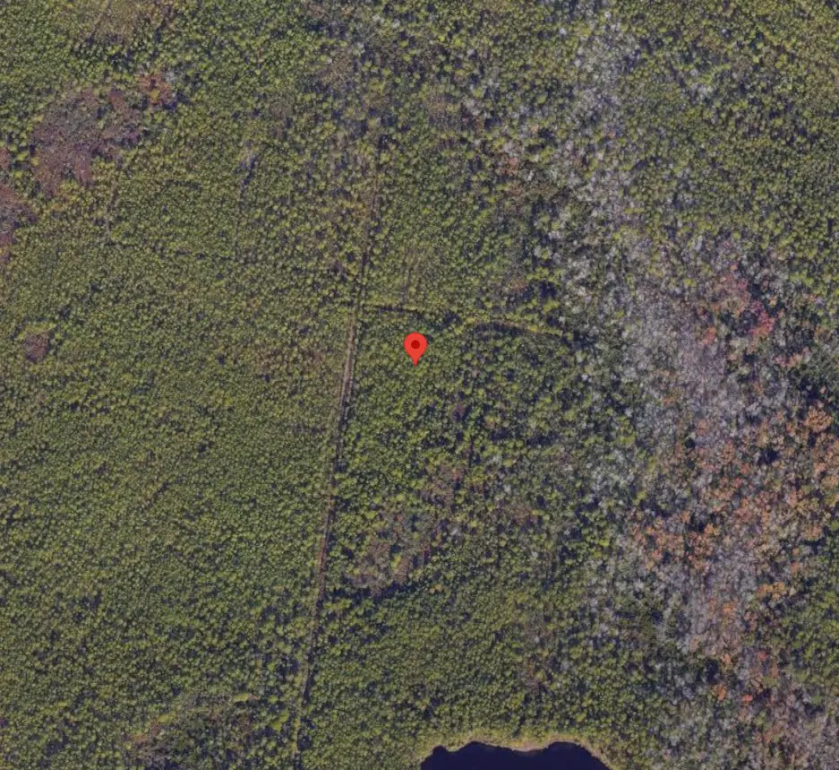 Screenshot 2026-05-01 061522.png.webp