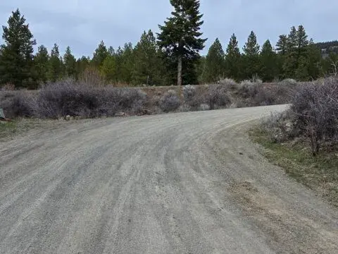 20250411_151846-480x360.webp