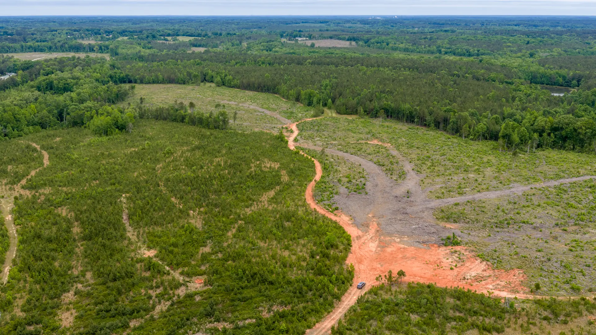Greenwood_Land_29.jpg.webp