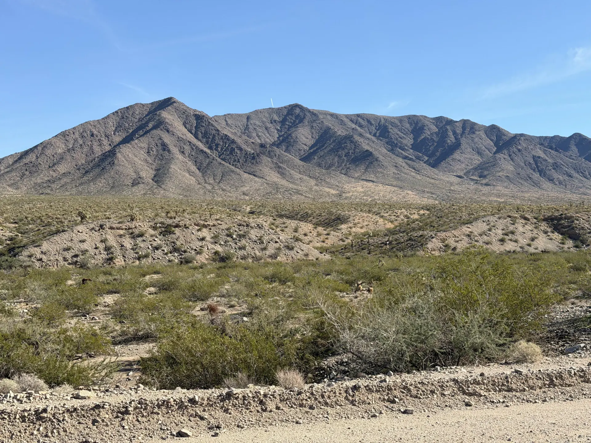 ROAD-MT-VIEW-4.webp