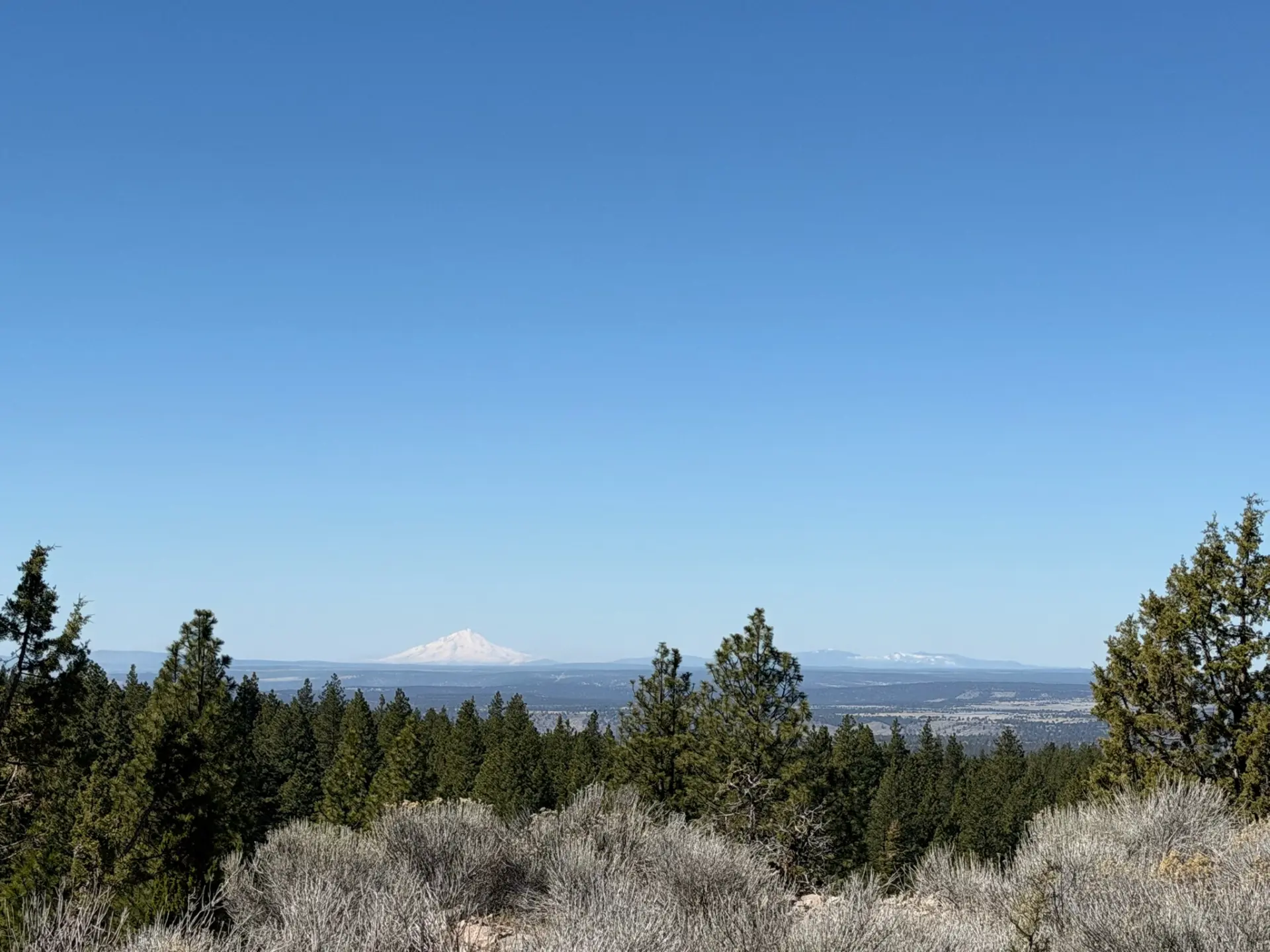 Mt Shasta.webp
