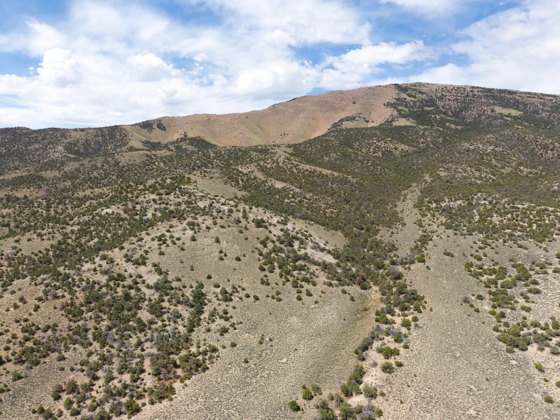 8061,8062,8091,8092-8.webp