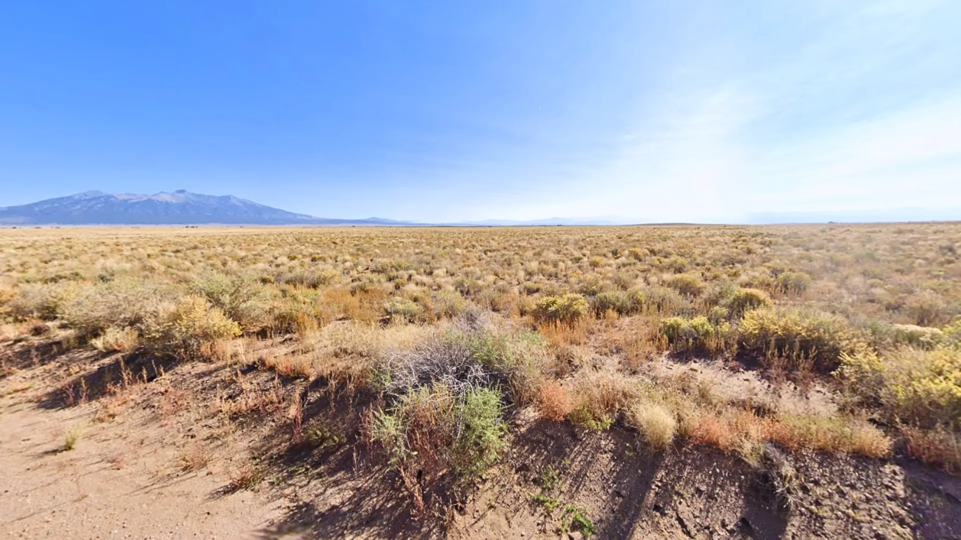 NH - COSTILLA - 703-95-440 (7).webp