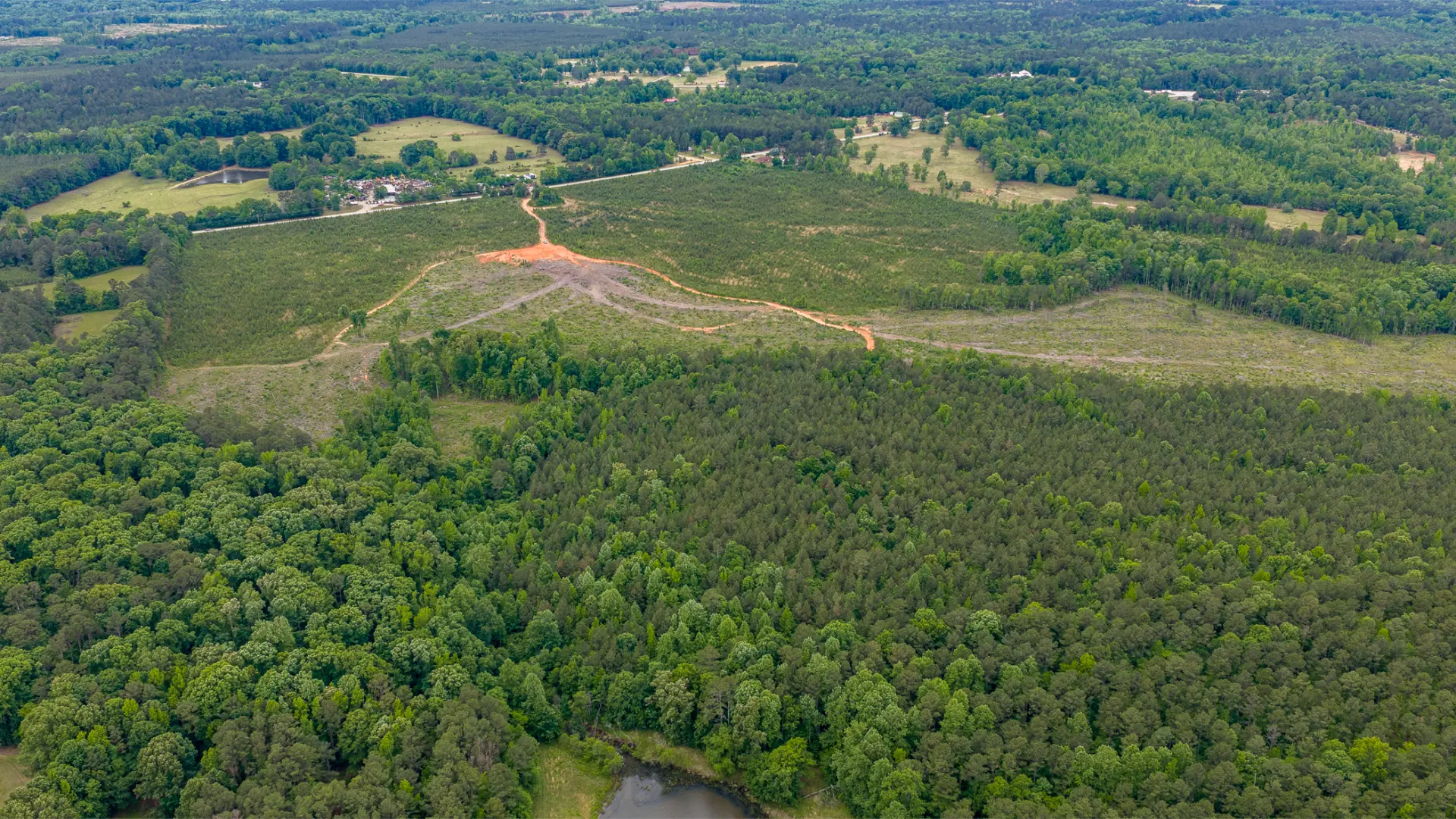 Greenwood_Land_10.jpg.webp