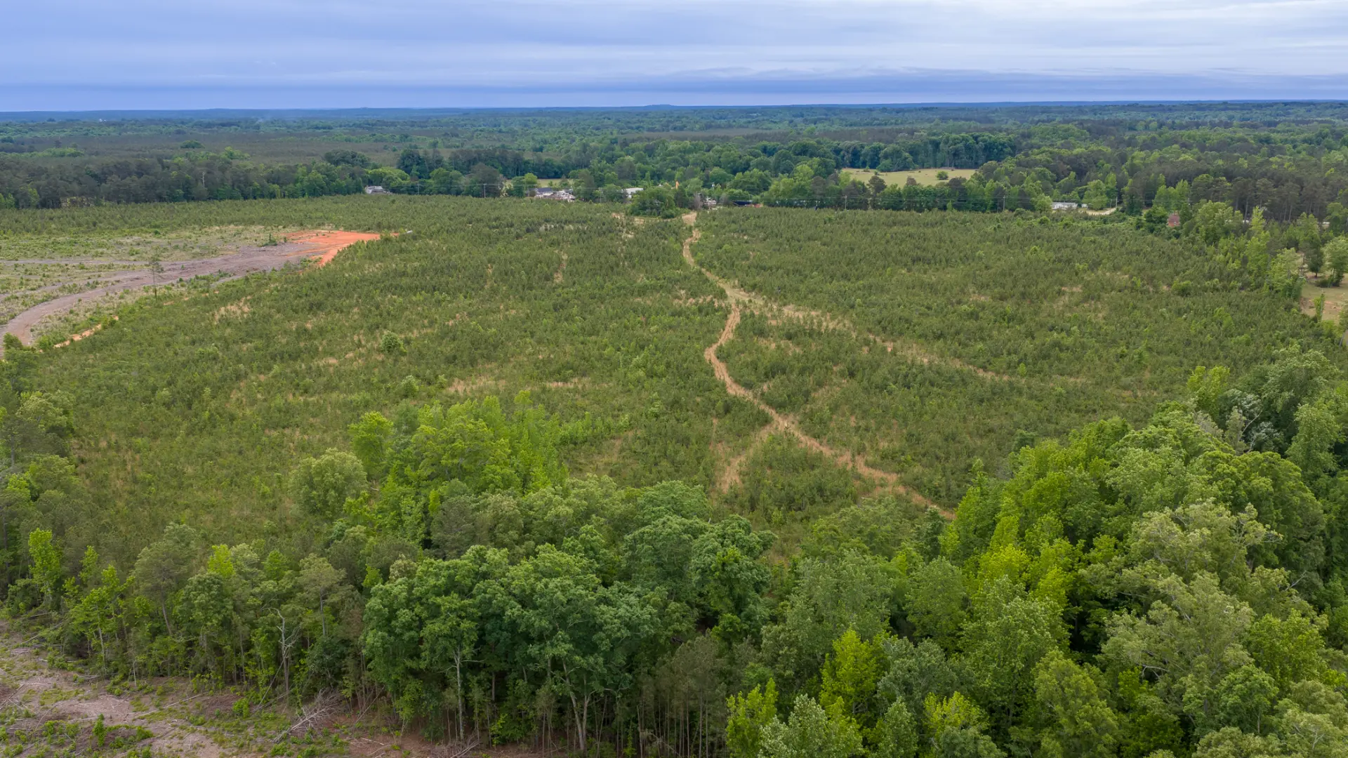 Greenwood_Land_34.jpg.webp