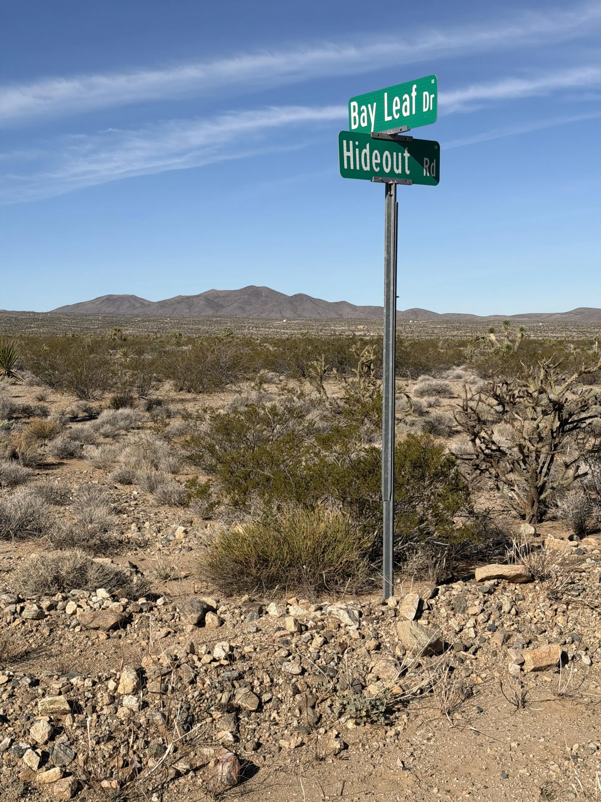 Copy of Copy of Bayleaf-ST-SIGN.webp