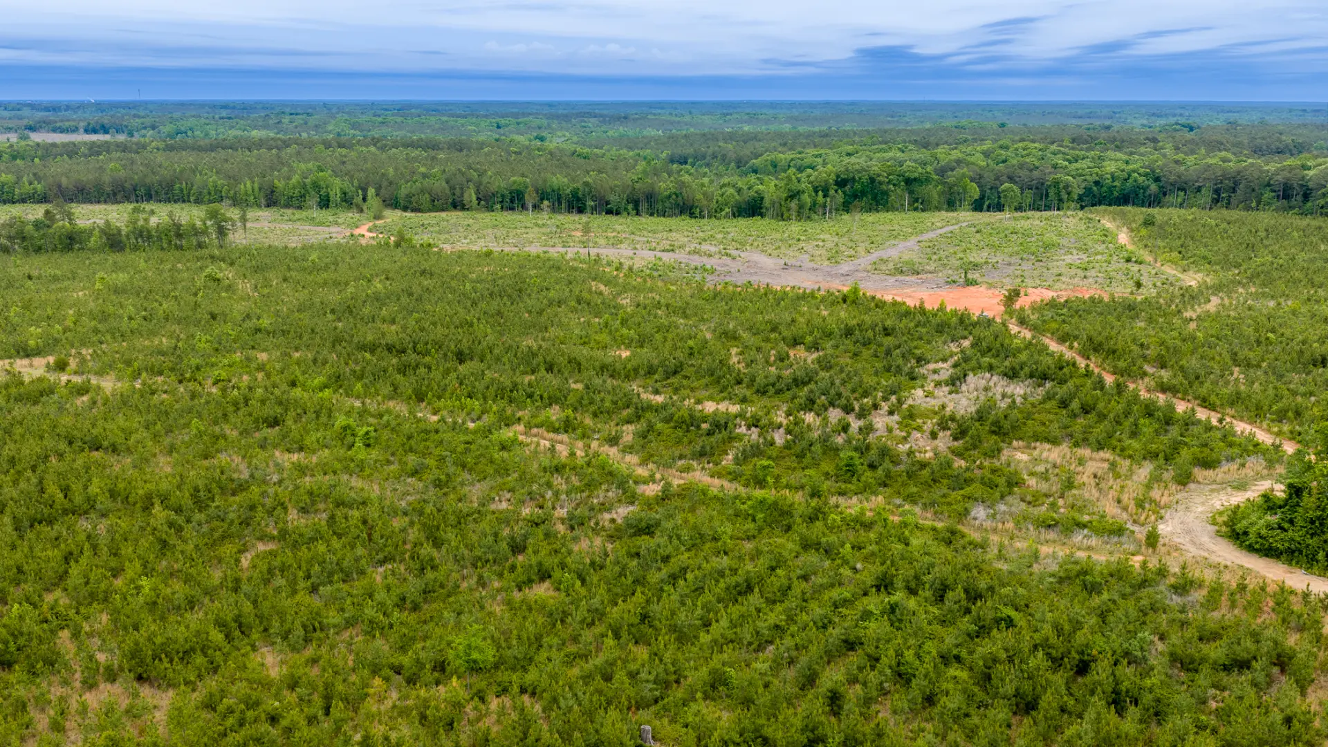 Greenwood_Land_40.jpg.webp