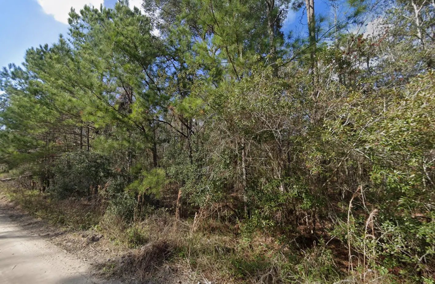 03-09-27-7732-0290-0140 04.PNG.webp