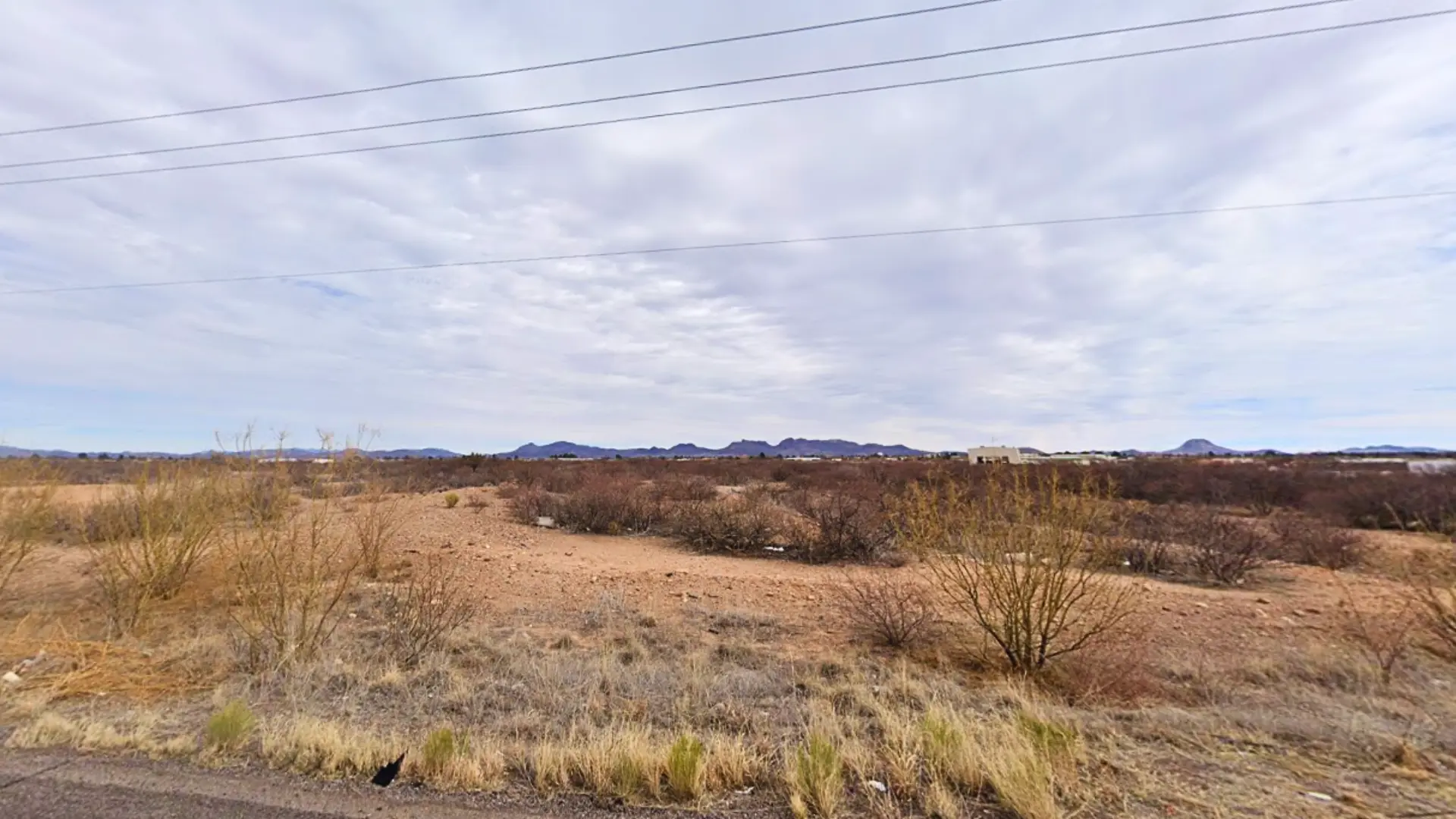NH - COCHISE - 406-29-557 (7).webp
