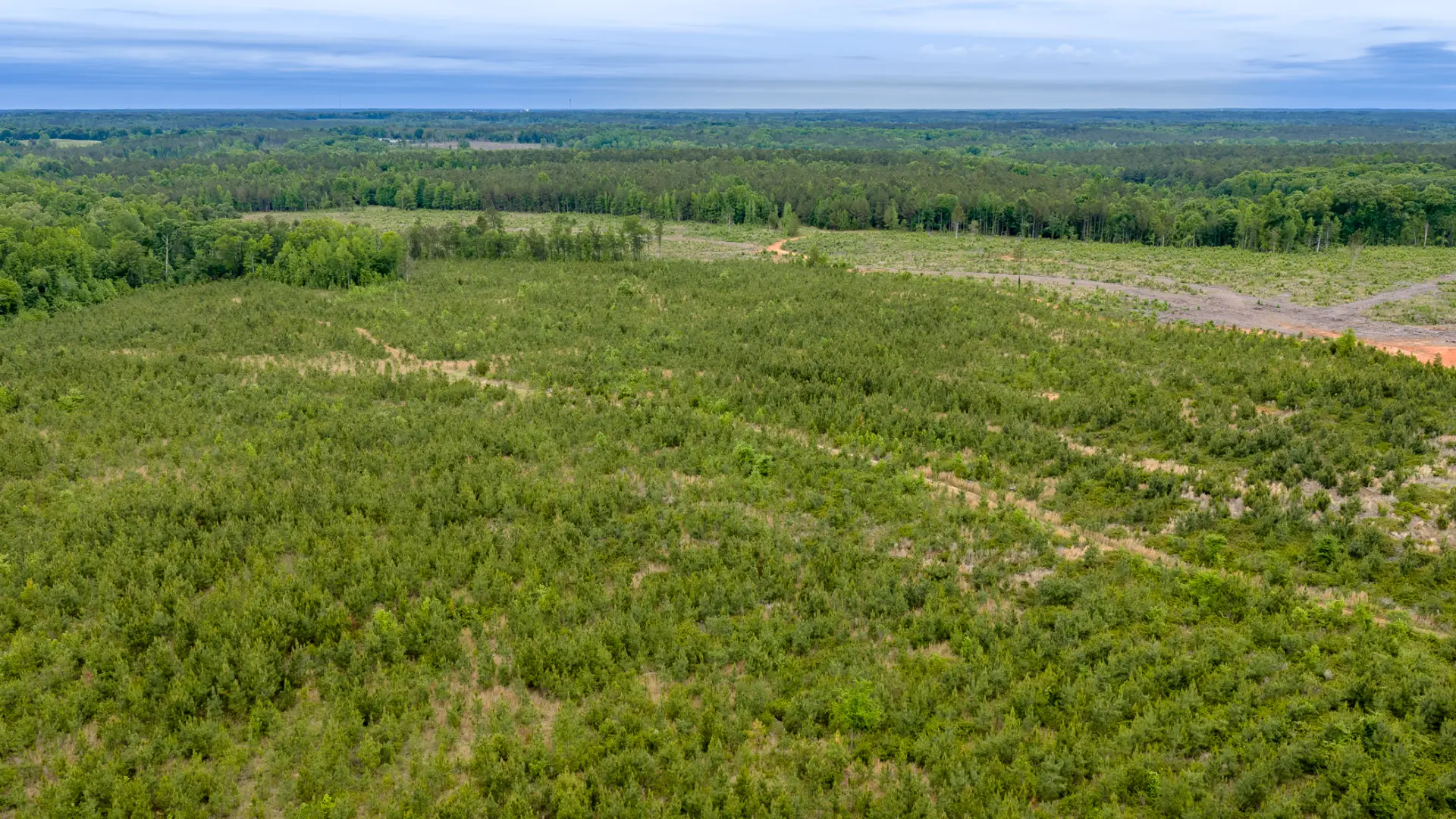 Greenwood_Land_41.jpg.webp