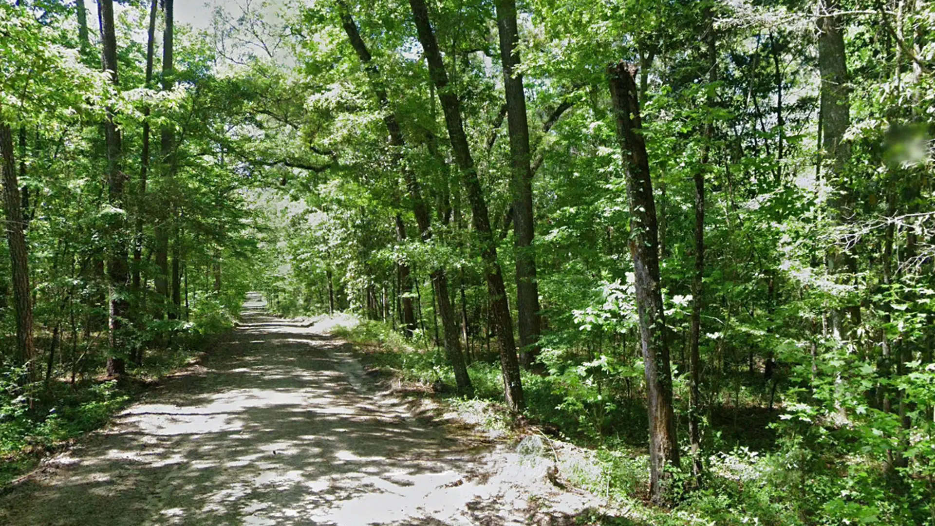 Artboard-7.webp