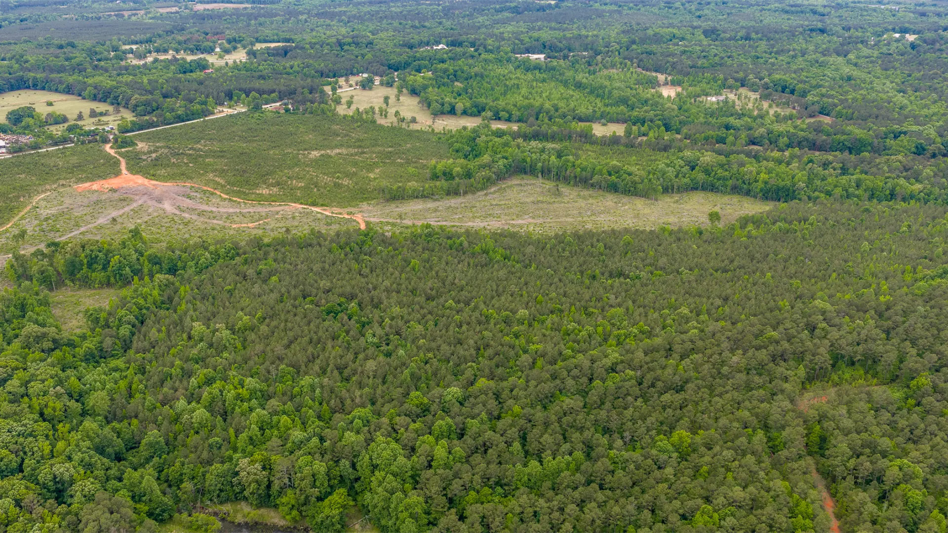 Greenwood_Land_11.jpg.webp