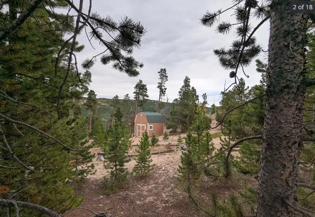 Looking through the trees at barn.png.webp