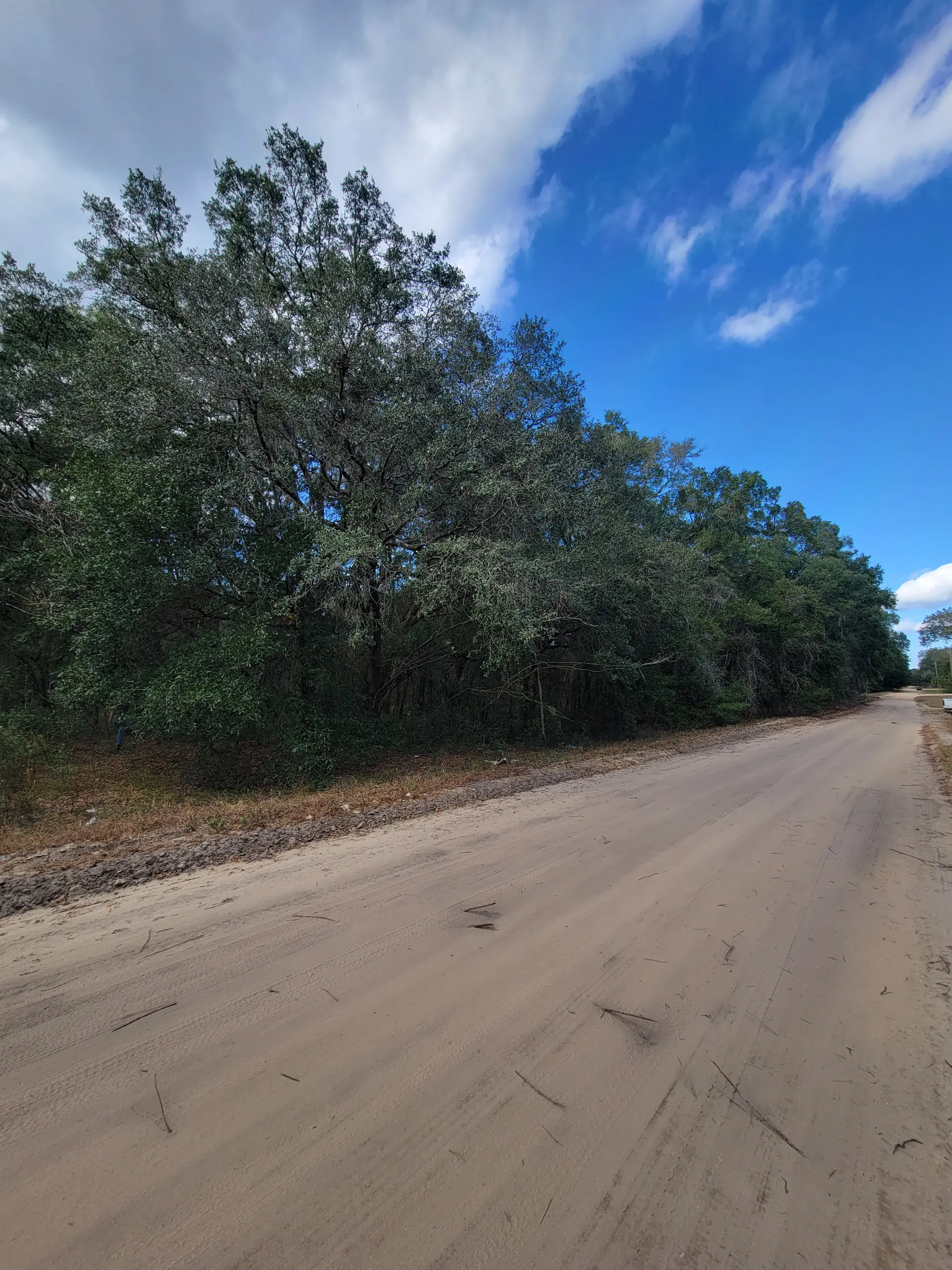 #5 Malta Ave.jpg.webp