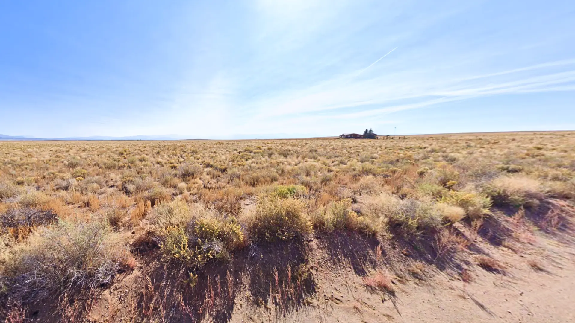 NH - COSTILLA - 703-95-440 (6).webp