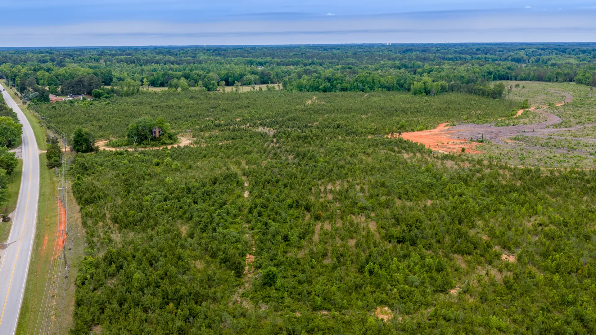 Greenwood_Land_43.jpg.webp