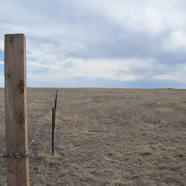 Pam-T-40-acres-Fence.jpg.webp