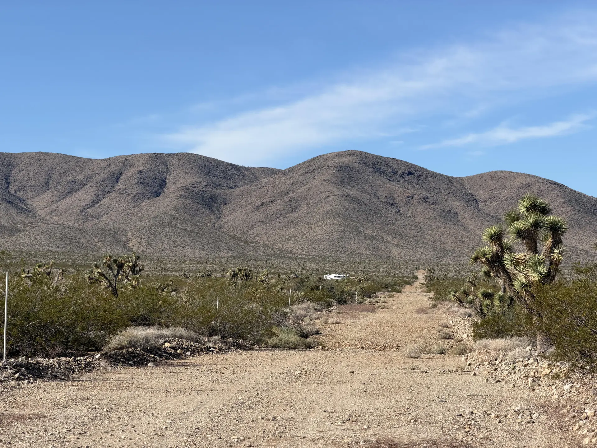 ROAD-MT-VIEW-3.webp