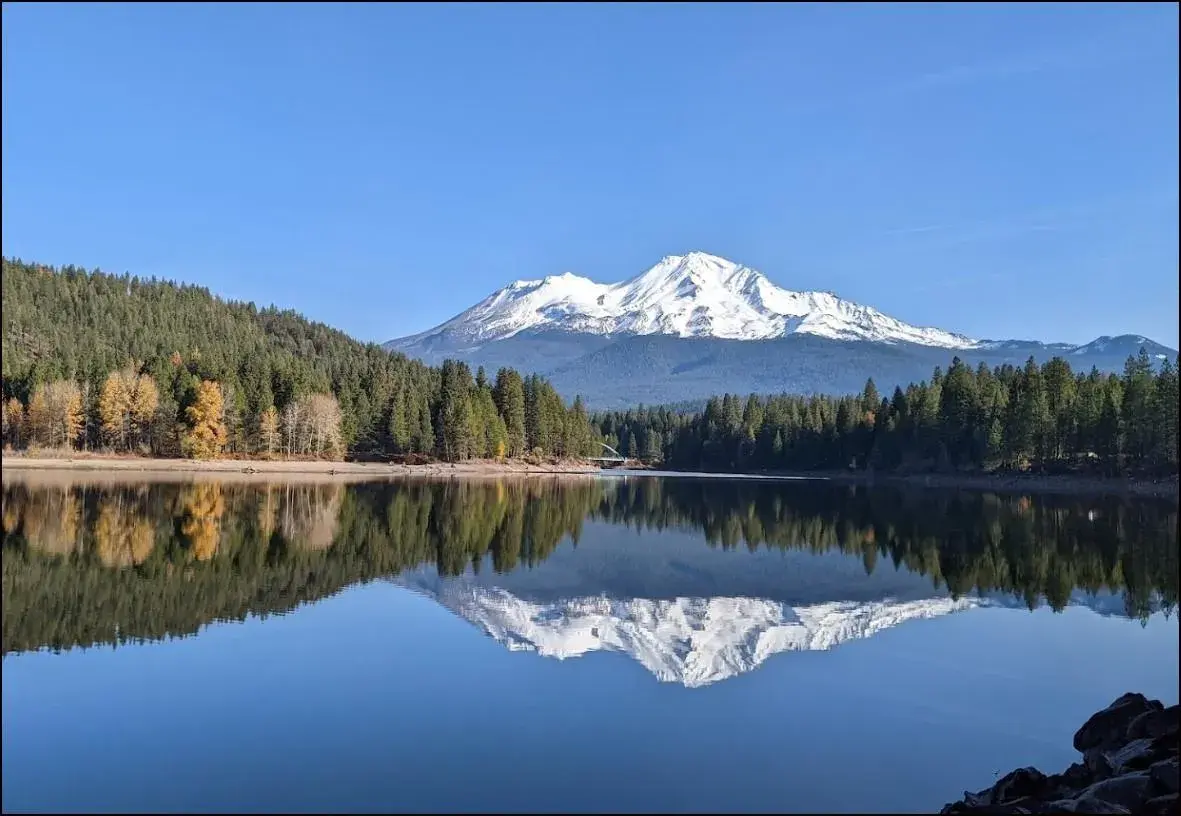 1-5589555509.webp.webp