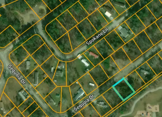 Ariel View Sequoia.webp