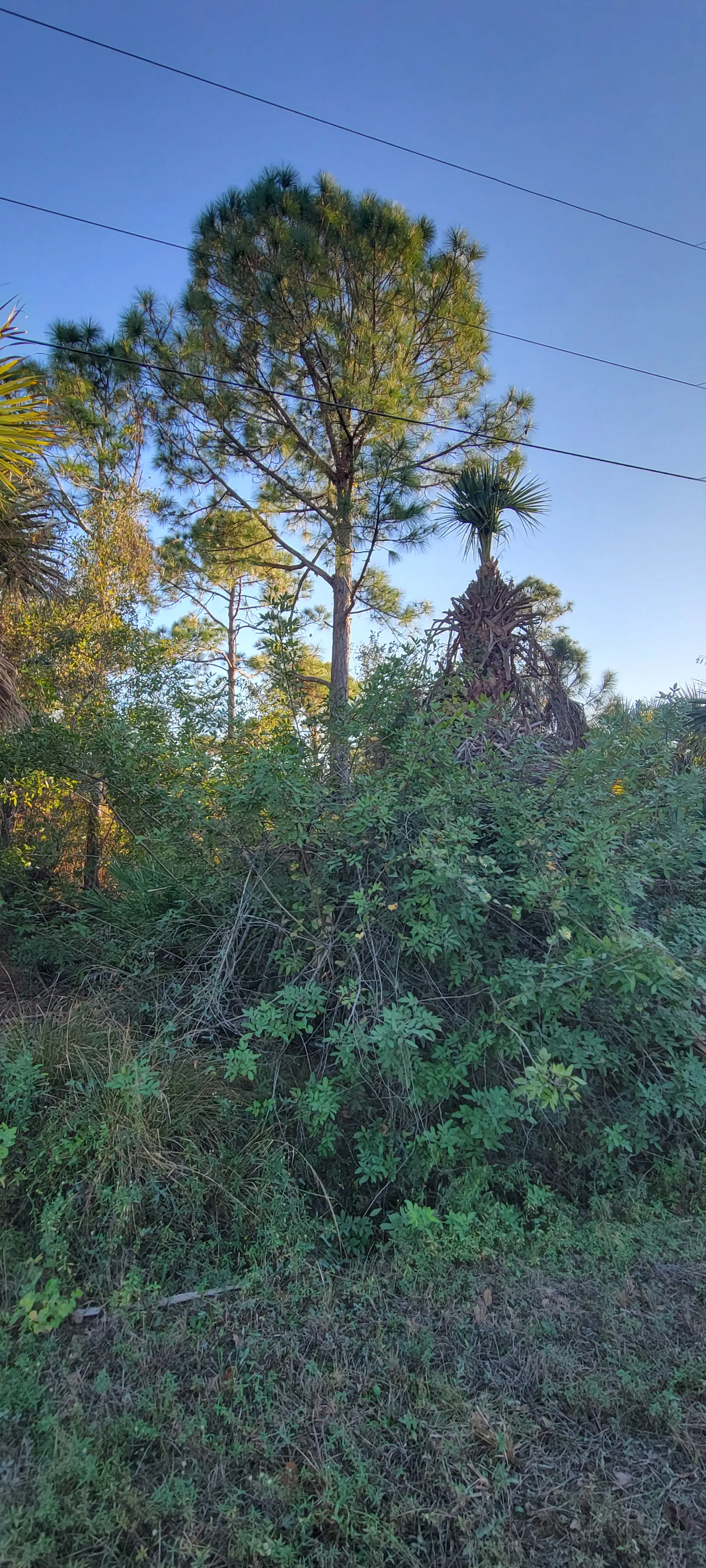 20251228_164501.jpg.webp
