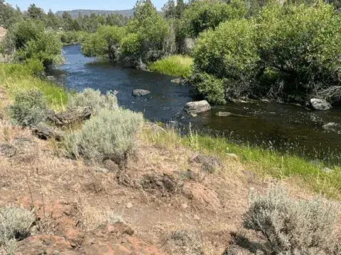 Screenshot-2025-07-24-at-2.19.59-PM-480x360.webp
