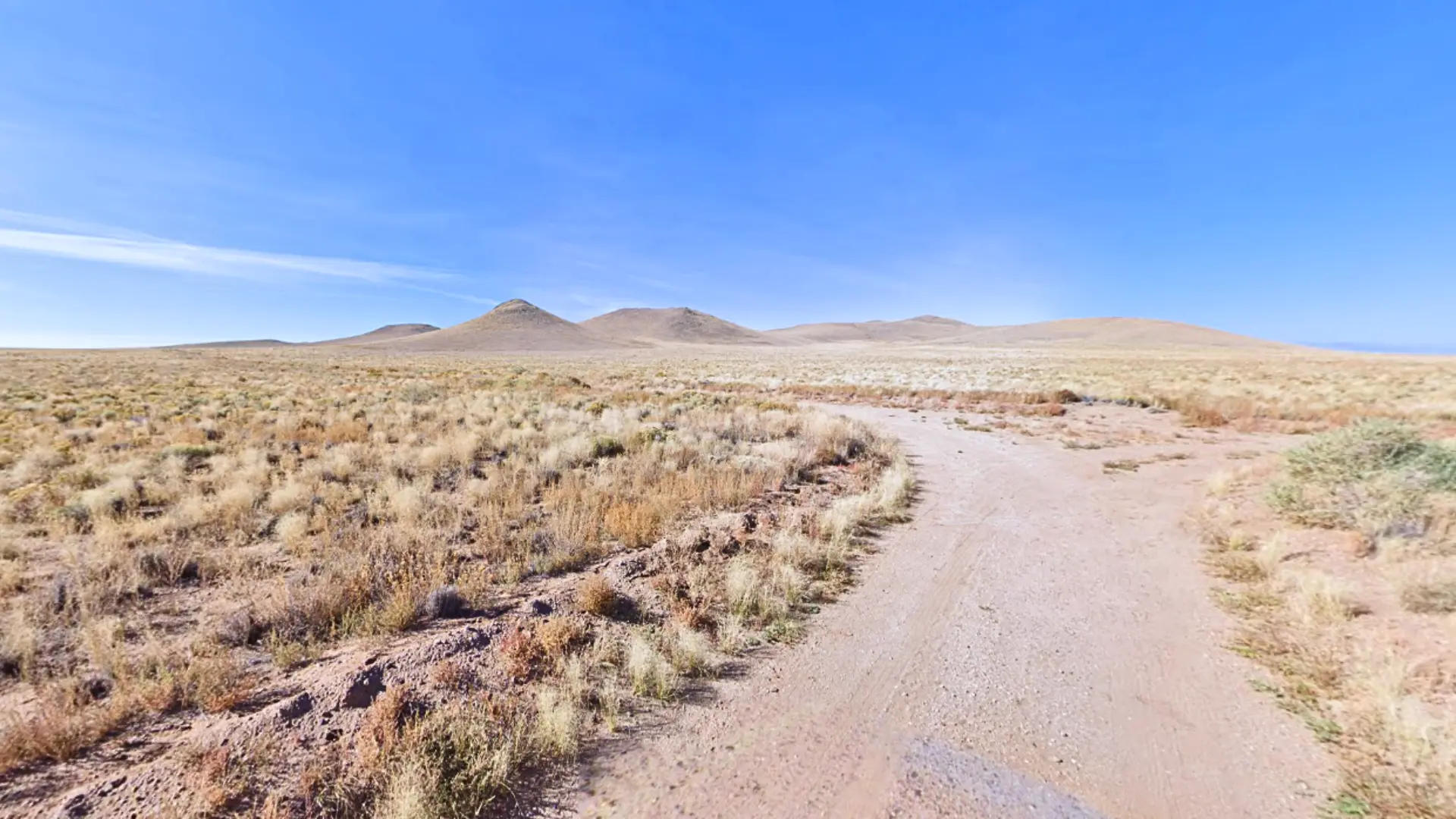 NH - COSTILLA - 703-95-440 (9).webp