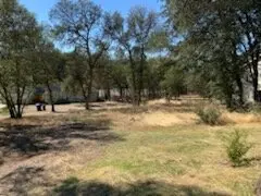 IMG_0733_20221017_153505.webp