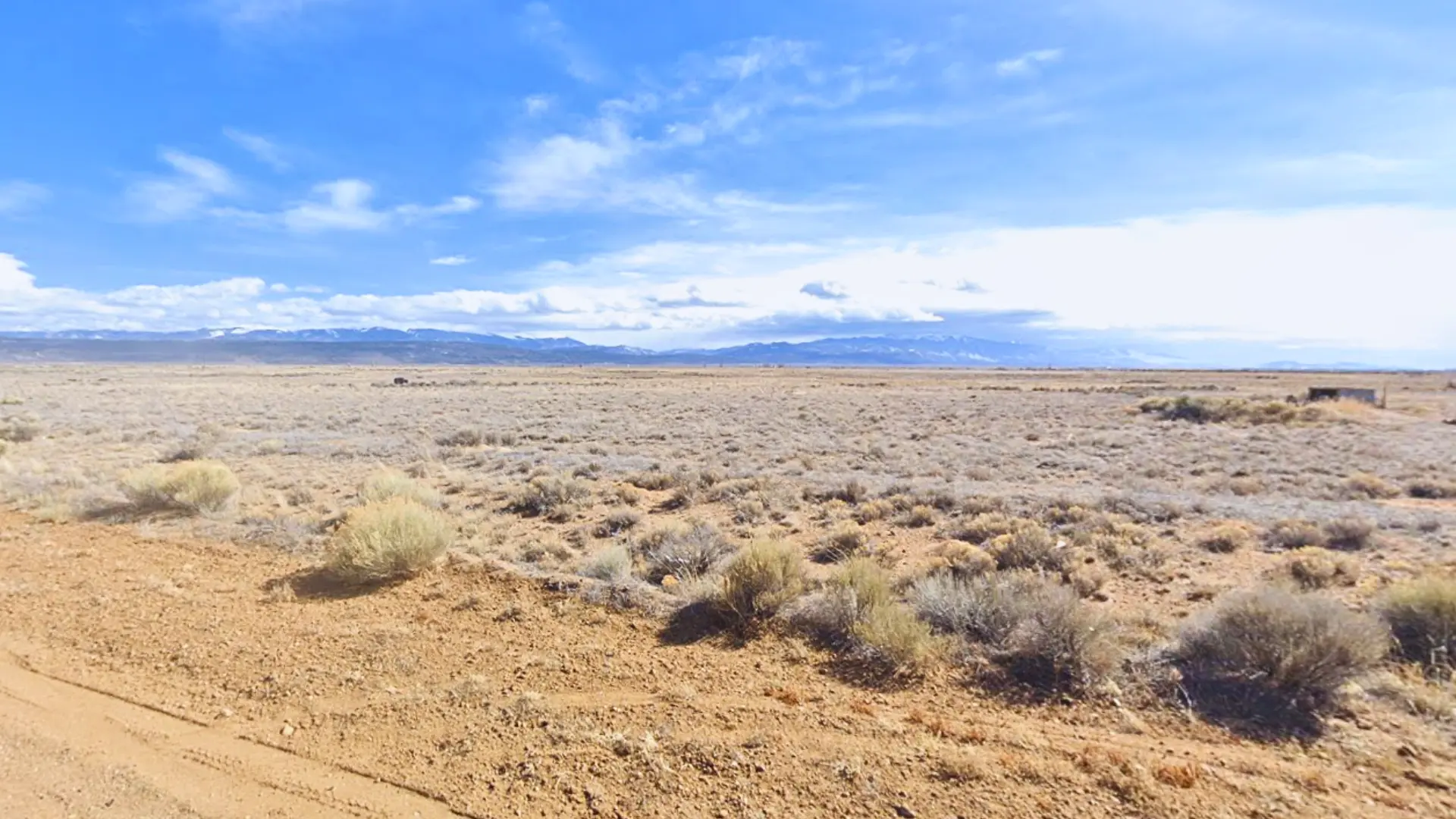 NH - COSTILLA - 71547980 (3).webp
