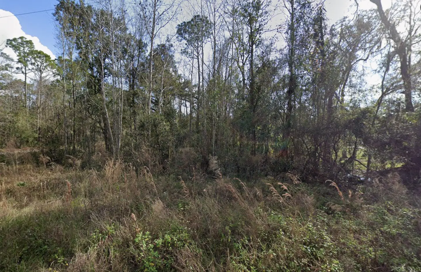 03-09-27-7732-0290-0140 03.PNG.webp