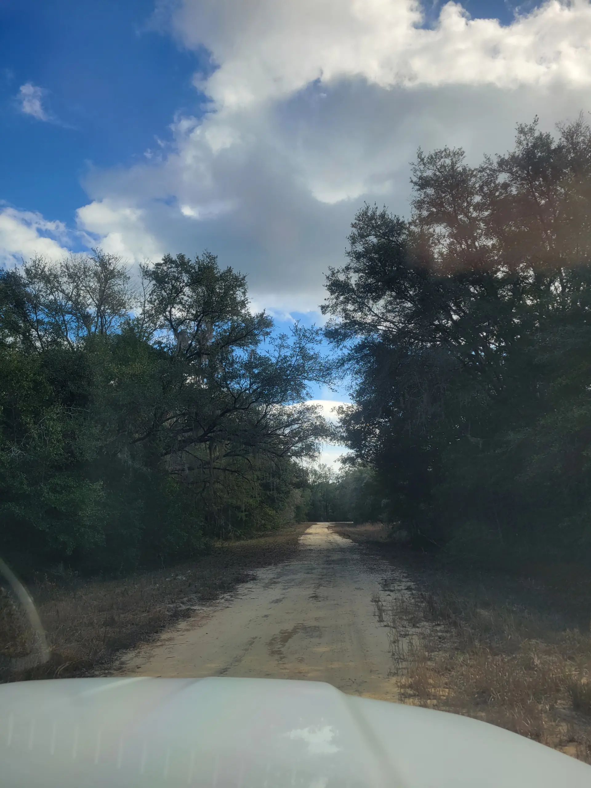 #8 Alan Road.jpg.webp