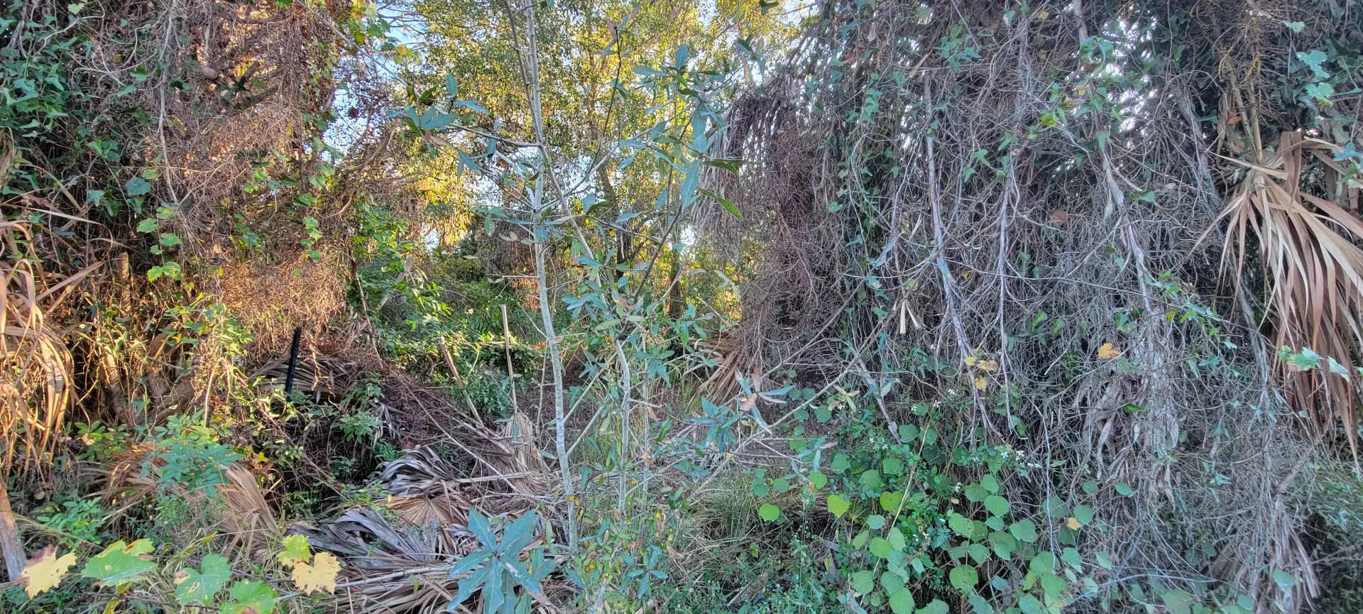20251228_164522.jpg.webp