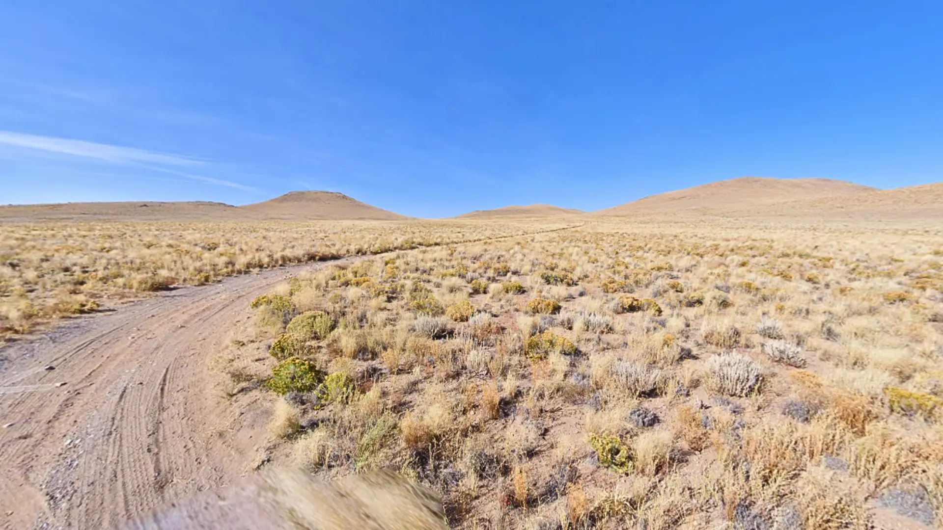 NH - COSTILLA - 703-95-440 (2).webp