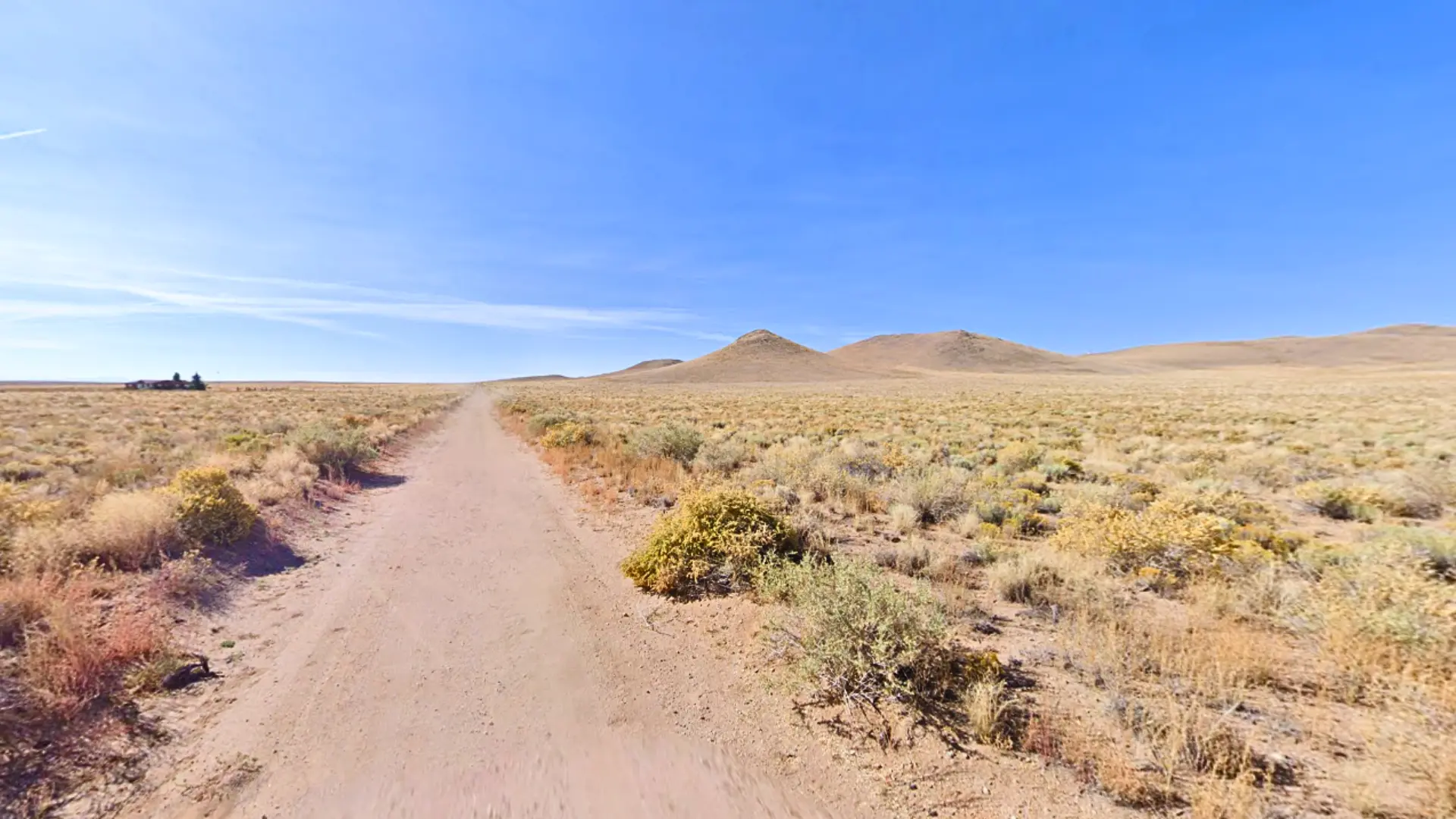 NH - COSTILLA - 703-95-440 (8).webp