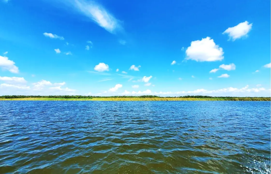 Nearby Attraction Charlotte Harbor Preserve State Park 2.JPG.webp