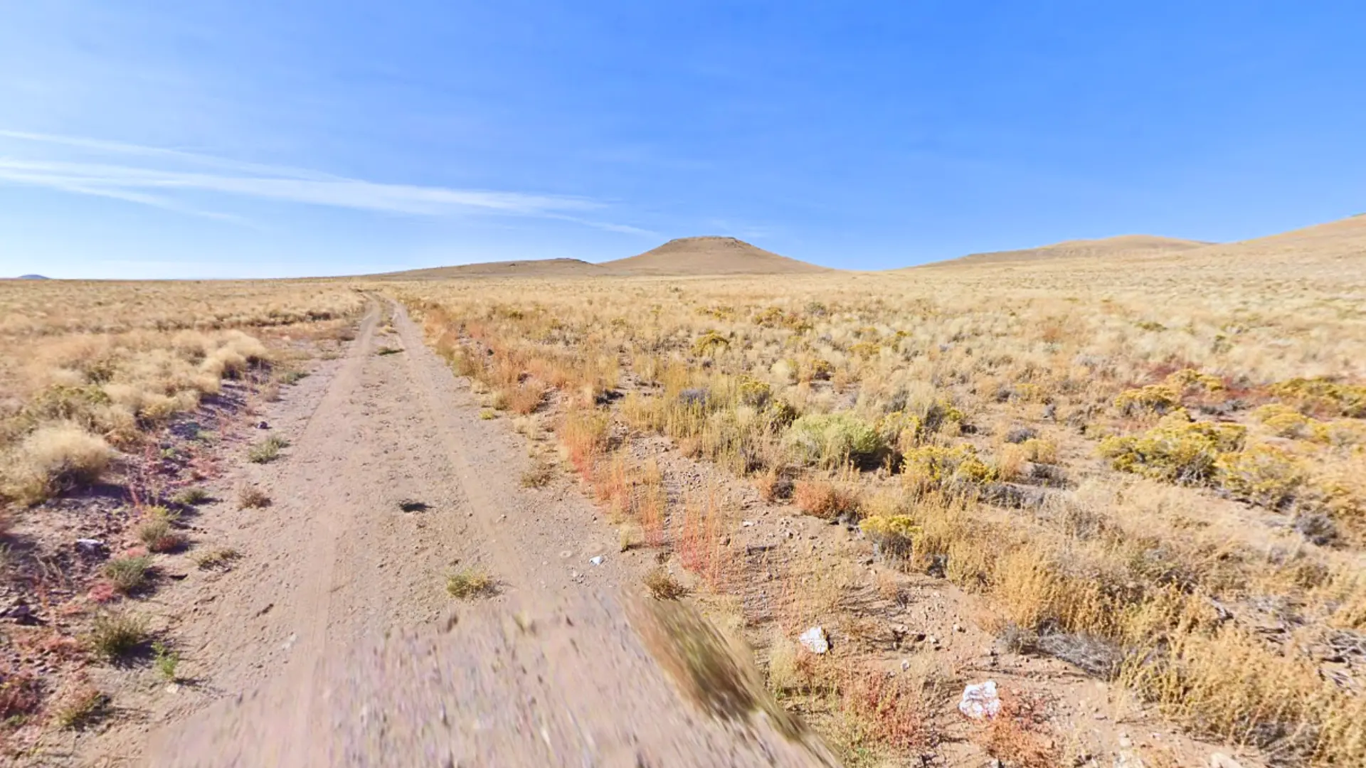 NH - COSTILLA - 703-95-440 (5).webp