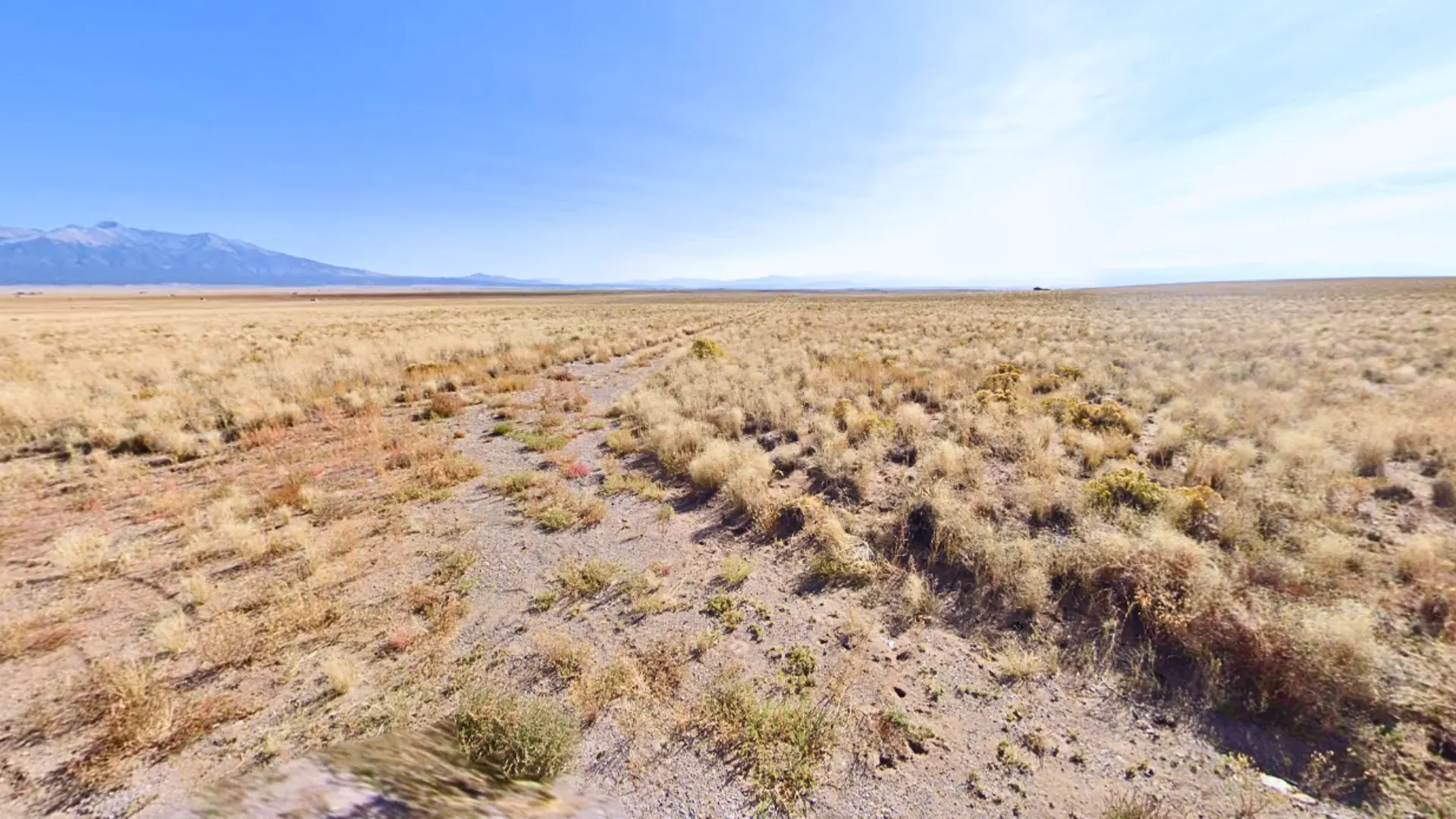 NH - COSTILLA - 703-95-440 (3).webp