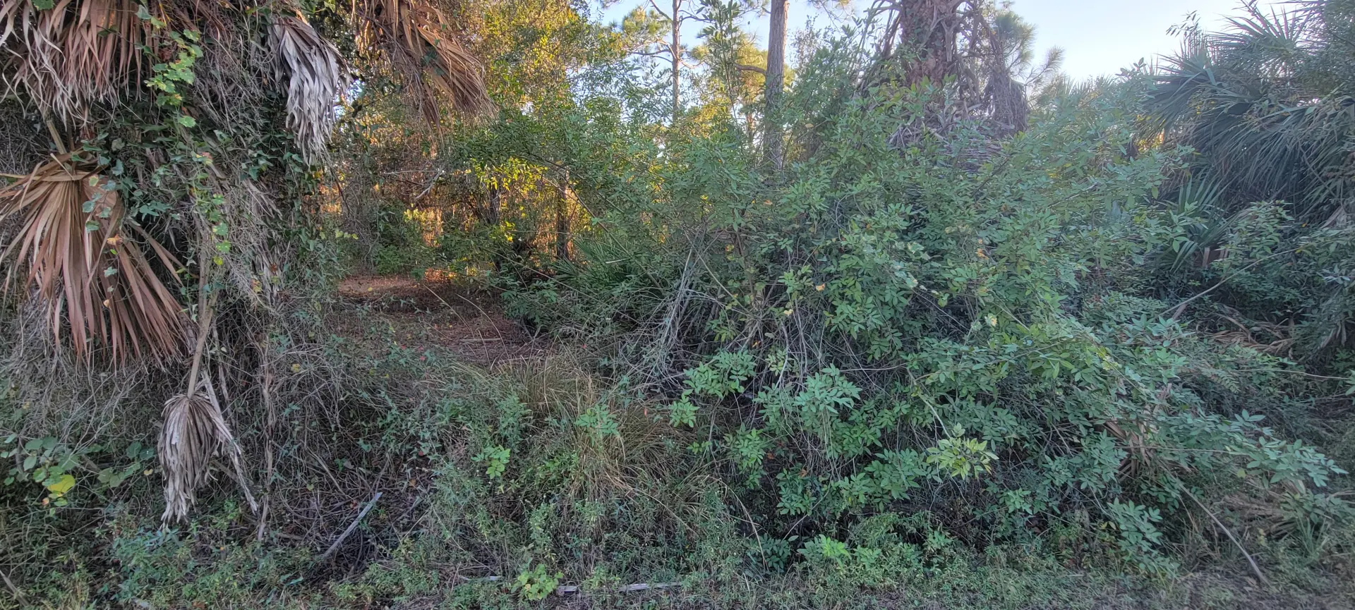 20251228_164457.jpg.webp