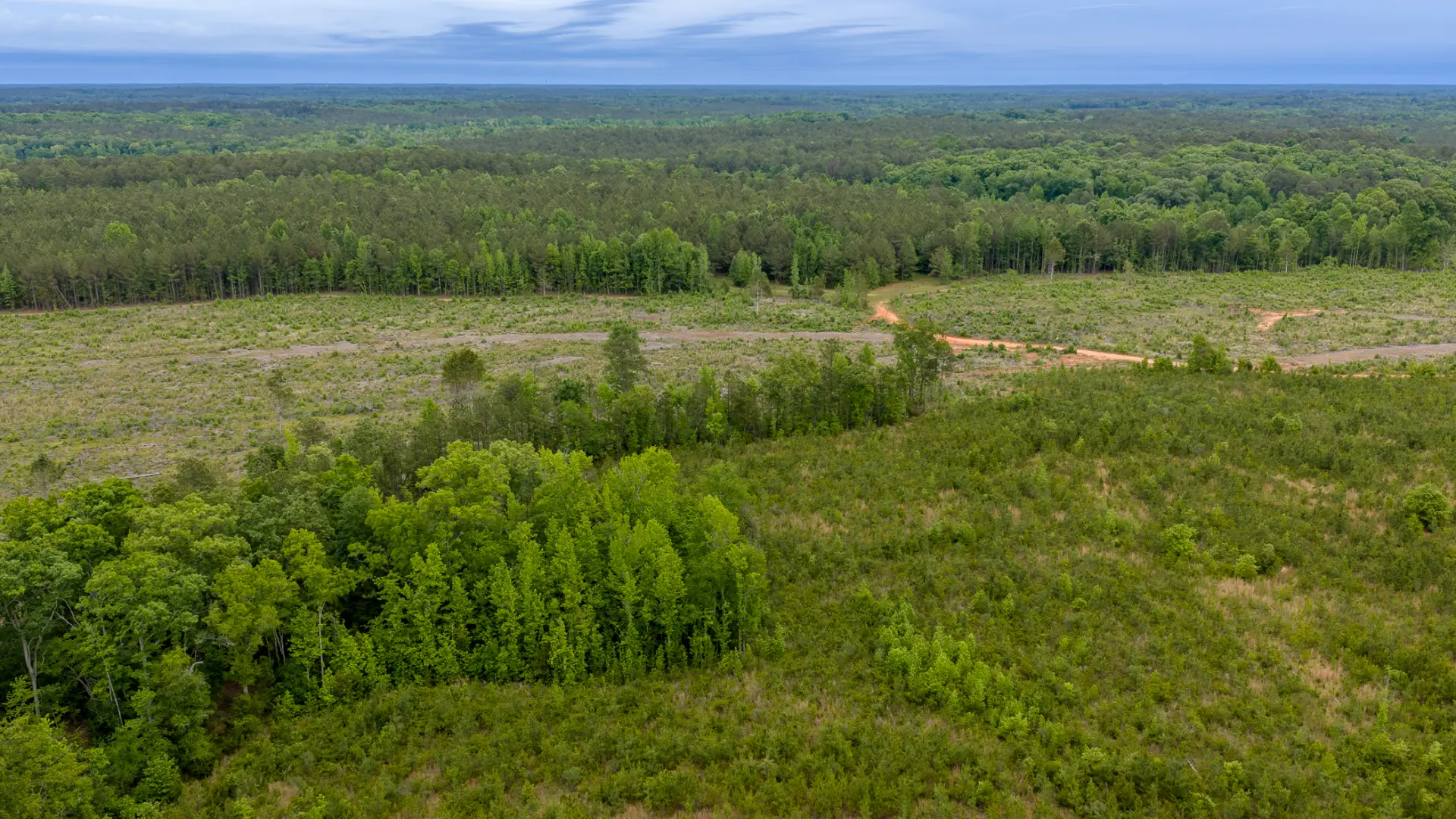 Greenwood_Land_37.jpg.webp
