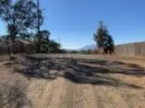 687393503_20221013_163944.webp