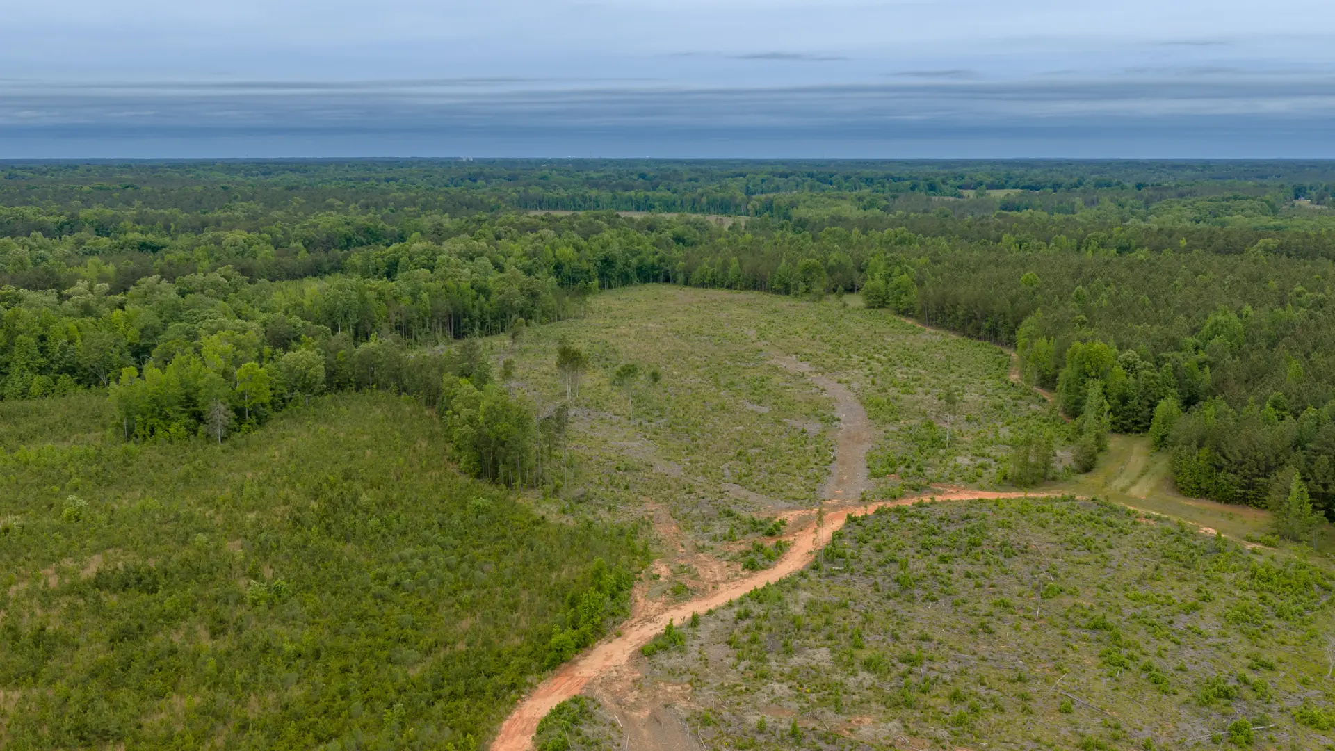Greenwood_Land_32.jpg.webp