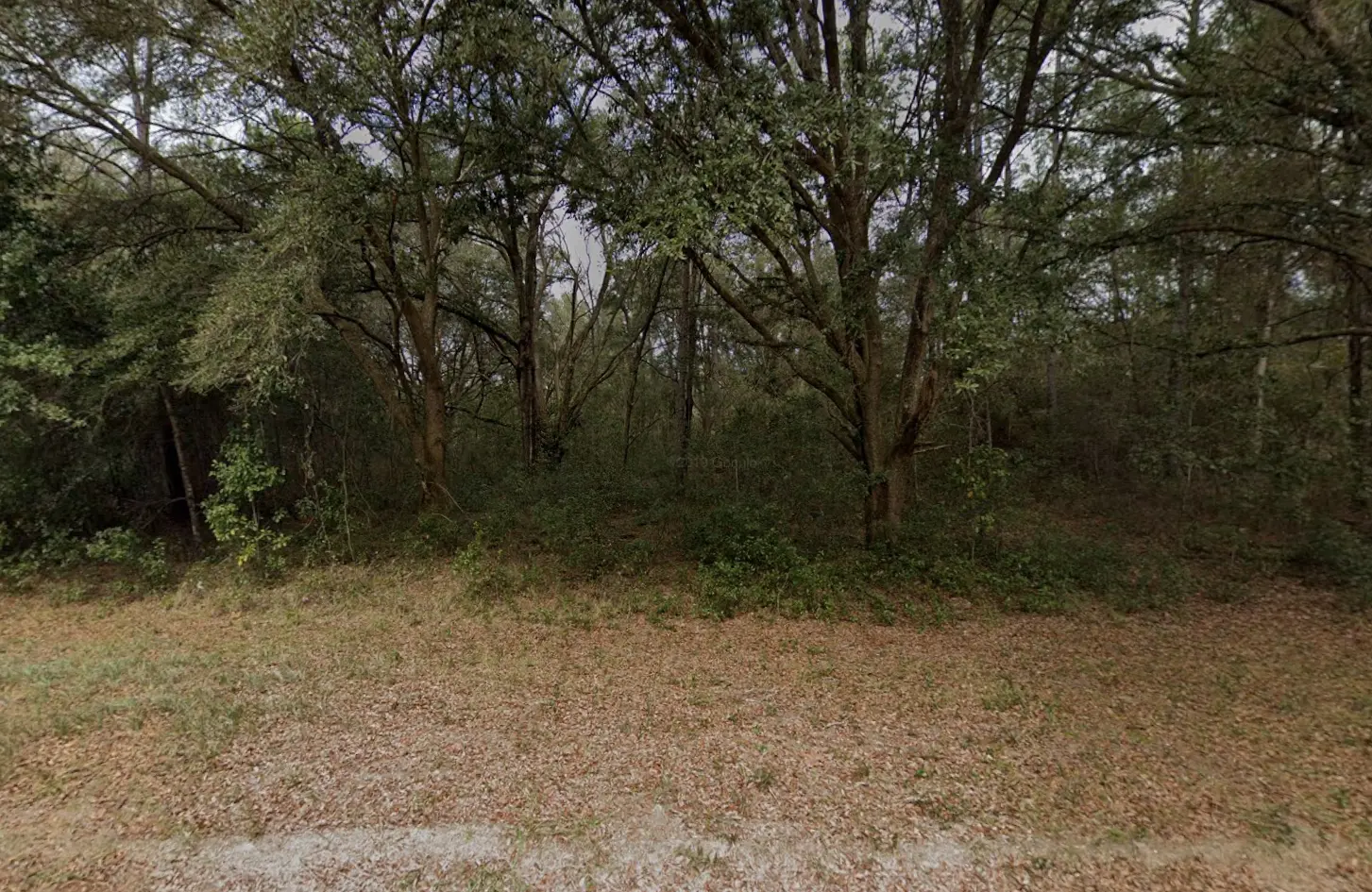 23-09-24-4076-1440-0180 02.PNG.webp