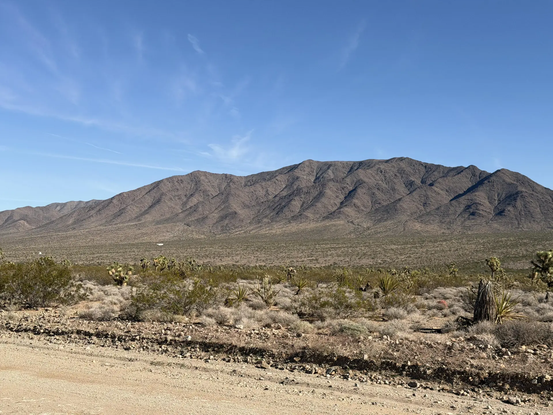 ROAD-MT-VIEW-2.webp