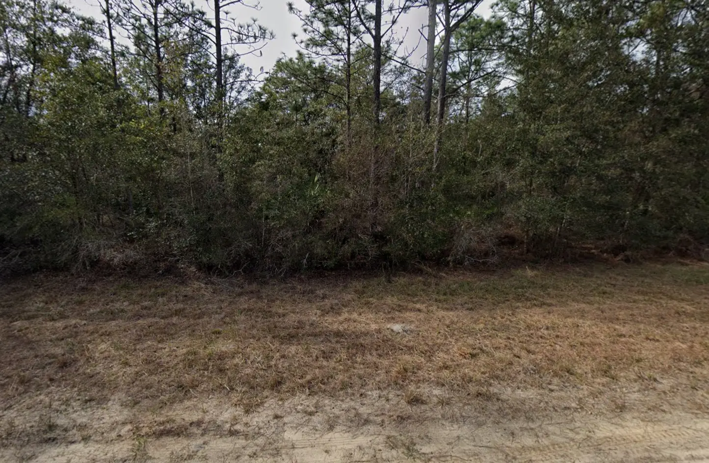 24-09-24-4075-0420-0300 04.PNG.webp