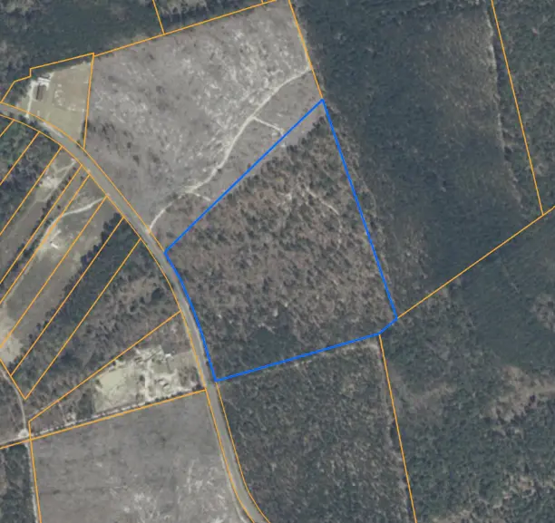 GIS view.webp