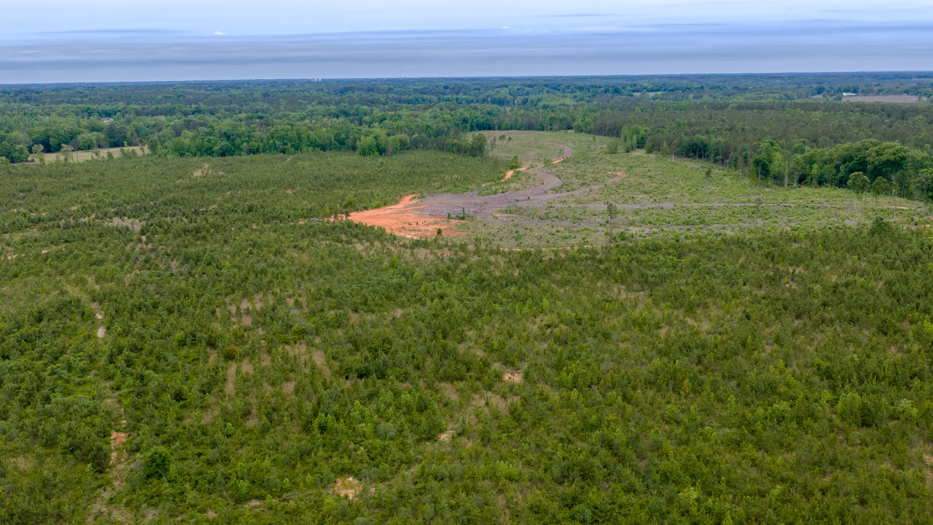 Greenwood_Land_42.jpg.webp