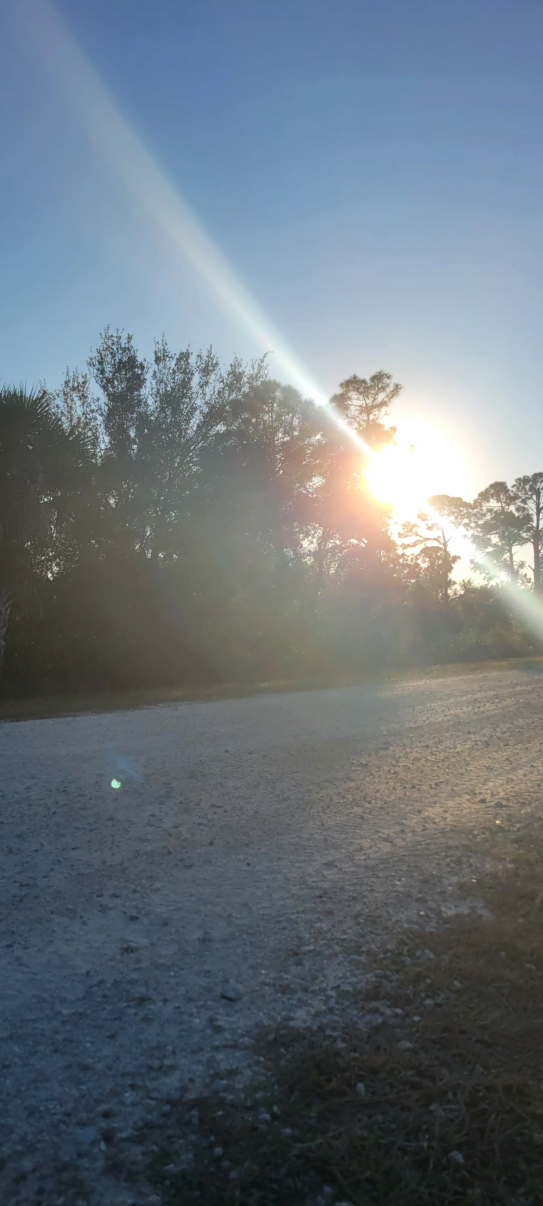 20251228_164703.jpg.webp